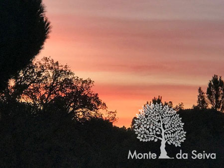 Monte da Seiva - Turismo