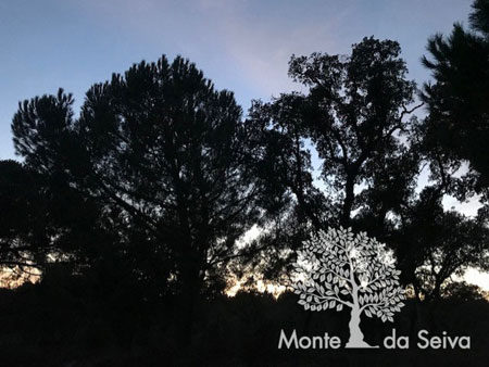 Monte da Seiva - Turismo 